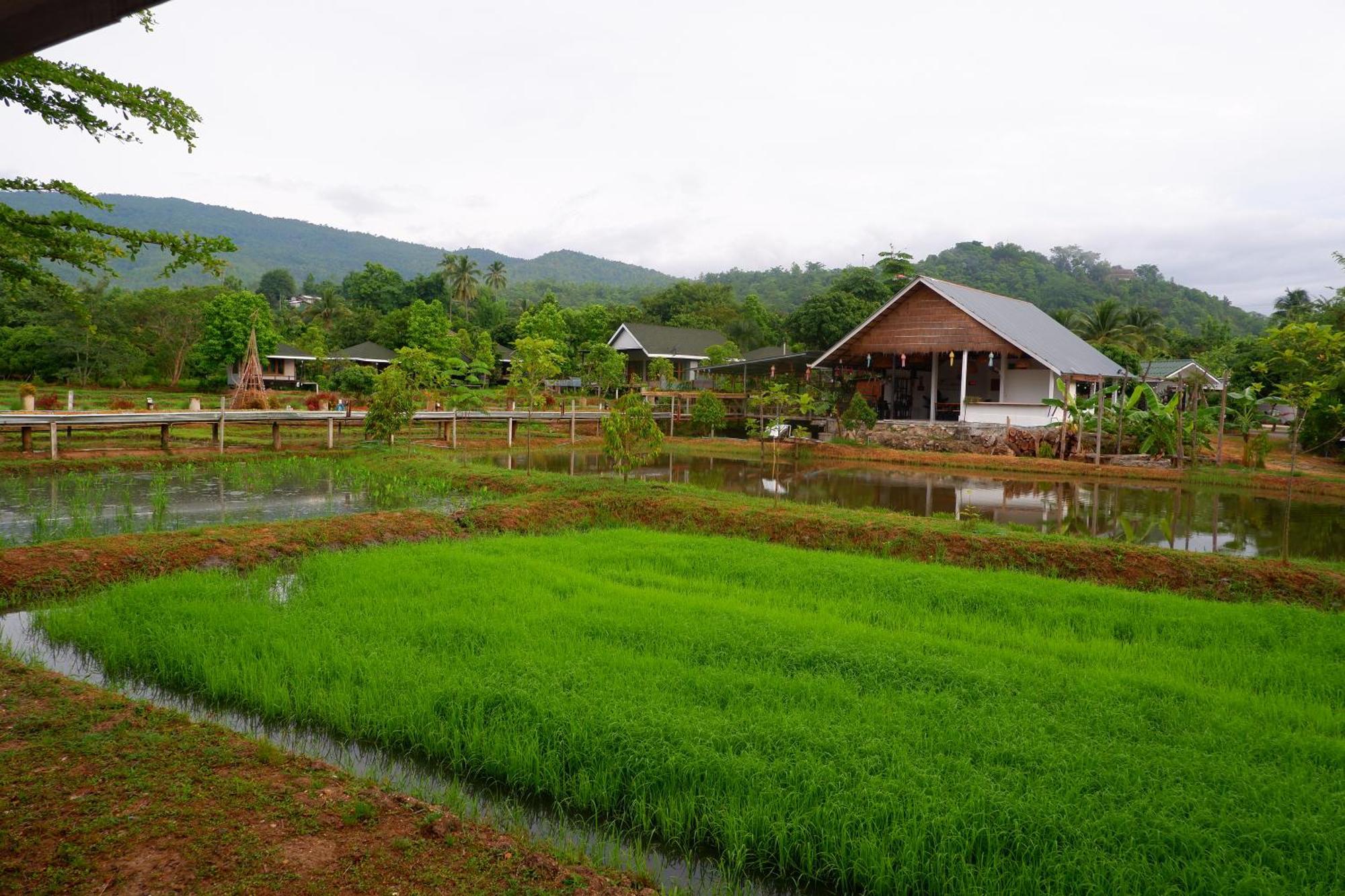 Nok Chan Mee Na Chom Thong Exterior foto
